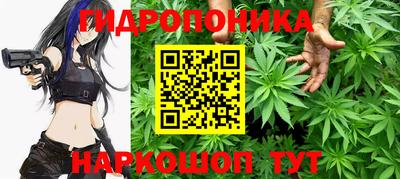 гашишное масло Кингисепп