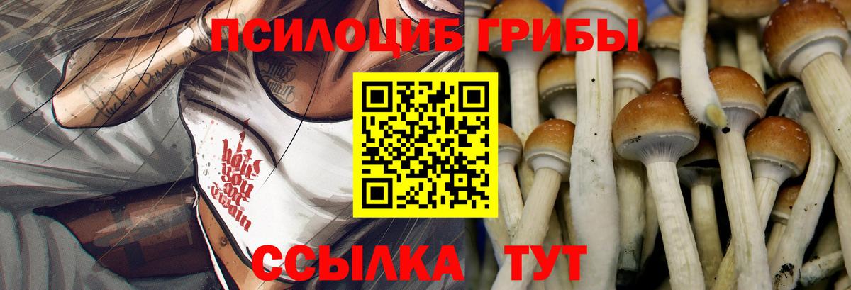 Галлюциногенные грибы GOLDEN TEACHER Кизляр